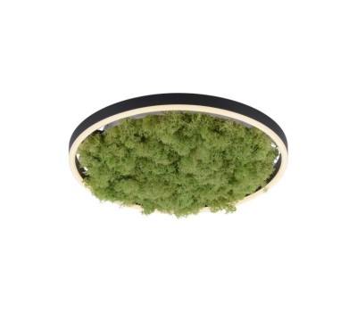 JUST LIGHT 15391-66 GREEN RITUS
