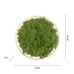 JUST LIGHT 15391-66 GREEN RITUS