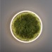 JUST LIGHT 15391-66 GREEN RITUS