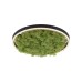 JUST LIGHT 15391-66 GREEN RITUS