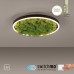 JUST LIGHT 15391-66 GREEN RITUS