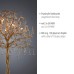 PAUL NEUHAUS 232-11 ICICLE