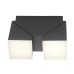LED фасаден аплик PAUL NEUHAUS 9722-13 RYAN