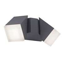 LED фасаден аплик PAUL NEUHAUS 9722-13 RYAN
