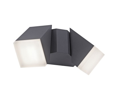 LED фасаден аплик PAUL NEUHAUS 9722-13 RYAN