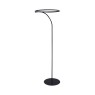 ZUMA LINE E82907-31 CORIT