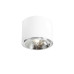 ALDEX 1046PL_G BOT CEILING WHITE