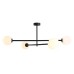 Полилей ALDEX 1080PL_L1 PINNE CEILING 4 BLACK