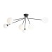 Полилей ALDEX 1082PL_K1 HOLM 6 CEILING BLACK