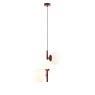 ALDEX 1091L15 BLOOM 4 RED WINE