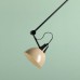 ALDEX 1141PL_G3_17 AIDA CEILING BLACK/BEIGE