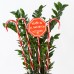 EUROLAMP 600-11915 2W 2300K 1500mm LED SOLAR LINE WITH FOUR PLASTIC RED AND WHITE CANDIES 2300K IP44