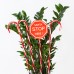 EUROLAMP 600-11915 2W 2300K 1500mm LED SOLAR LINE WITH FOUR PLASTIC RED AND WHITE CANDIES 2300K IP44