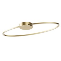 REDO 01-3336 LEO CCT BRONZE