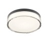 REDO 01-3735 FRISBI PL LED 12W 3000K/4000K D230 IP44 BK