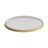 REDO 01-3747 DAMA PL LED 50W CCT D600 WH/GD