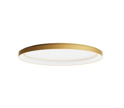 REDO 01-3807 NOBU PL LED 60W 3000/4000K GD