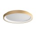 REDO 01-3906 ICONIC PL LED 40W 3000/4000K GD