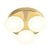 REDO 01-4307 OVUM PL LED 3X5W 3000/4000K IP44 BRASS REDO 01-4307 OVUM PL LED 3X5W 3000/4000K IP44 BRASS
