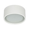 VK LEADING LIGHT VK/03110CE/W TIA WHITE 1 x GX53 CYLINDER SURFACE MOUNTING LAMP
